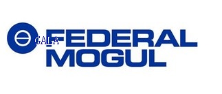 Federal-Mogul